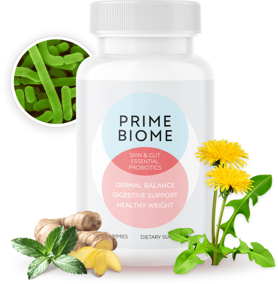 PrimeBiome — bottle